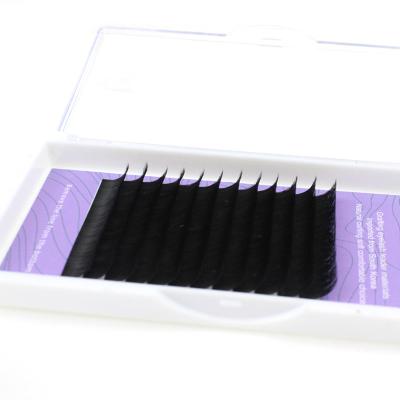 China Easy Fan Volume Fake Mink Eyelash Extensions Private Label Natural Auto Fanning One Second Silk Lashes for sale