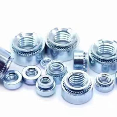 China Used Widely M3 M4 M5 M6 M8 M10 Stainless Steel Rivet Nuts Flat Head Rivet Nuts Rivet Nuts With Knurled Body for sale