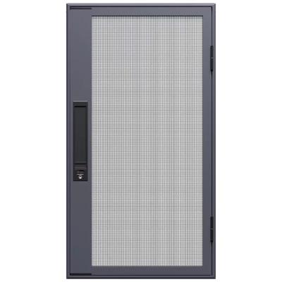 China Magnetic Screen High Standard Customized Insect Screen Windows Aluminum Alloy Sliding Windows and Door for sale