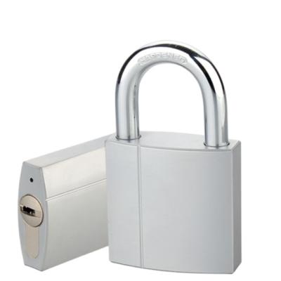 China Durable High Security Rarlux Nickel Plating Waterproof Padlock Security Solid Brass Padlock for sale