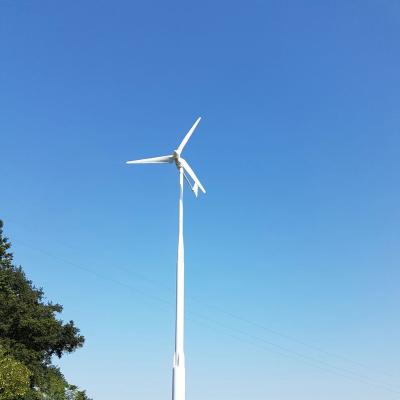 China 3kw Other Alternative Energy Wind Turbine 3000w Horizontal Shaft Off Grid Wind Generator DM4.0-3.0KW for sale