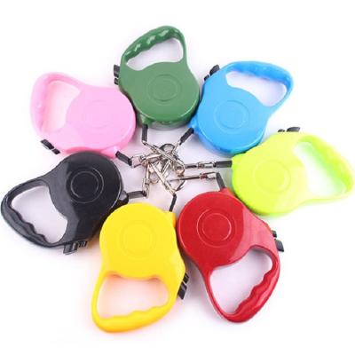 China Free Quick Release Buckle Harness Forming Retractable Dog Rope Leash Collares Para Mujer Collar De Cuero Bondage Lighter for sale