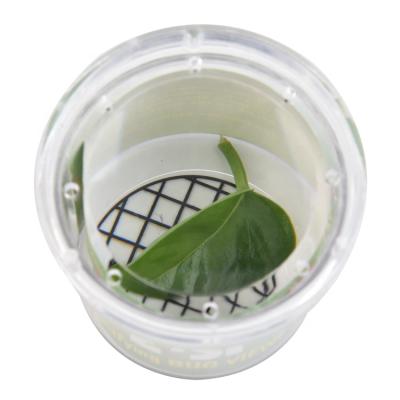 China Acre/ABS Factory Container Balloon Directly Magnify Large Jar Glass Lamp Magnifier Lens Insect Glass Magnifier for sale