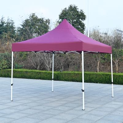 China Waterproof Outdoor Activity Marquee Canopy Trade Show Booth Tent with Windproof Sandbag for sale