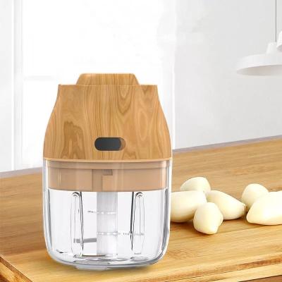 China Hot Sale Multifunctional Mini Food Chopper For Household Garlic Crusher Design PCTG+ABS Dropshipping New for sale