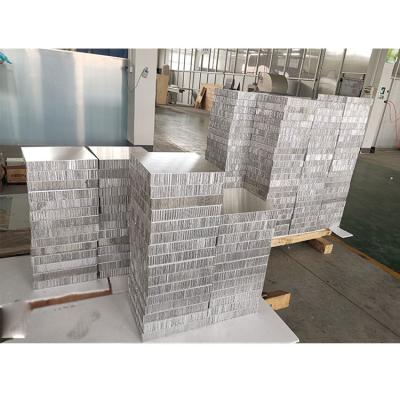 China Contemporary Aluminum Honeycomb Suspend Floor Panel for sale