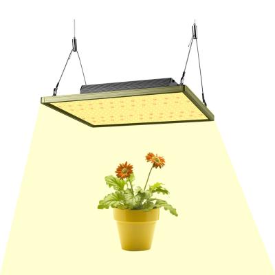 China Seed Starting Wholesale IP65 High Quality Aluminum Easy To Play 100W Full Spectrum Hydroponic Board Grow Light Led Indoor Plant for sale