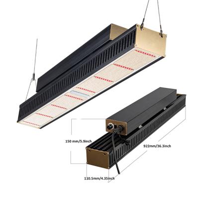China Seed Seed Seeding Samsung 2021 LM301B Grow Lamp 320W 640W Linear LED Grow Lights For Indoor Plant for sale
