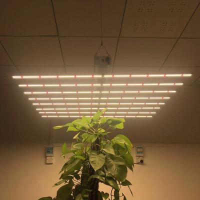 China Seed Starting Bars Commercial 640W BETTER Than LED Grow Light Full Spectrum DIY Grow Light Kits For Indoor for sale