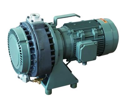 China Automotive Industry LZSP-300 High 2.5 CFM Oil Free Scroll Airless Vacuum Pump for sale