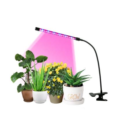 China Seed starting slaes amazon new products hot timing function head dual led grow light with clips led light à venda