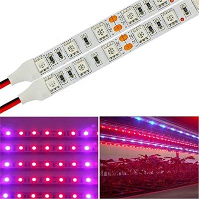 China Seed Starting Full Spectrum SMD 2835 5050 DC12/24V UV Led Strip For Growing Light for sale