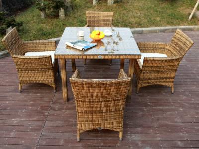 China Jardín plástico para todo clima de la rota que cena sistemas con la silla y la tabla en venta