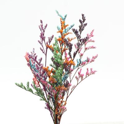 China The grass of the beautiful colorful preserved flower lover a group of 120 grams of household flower arranging decoration, office decoration party decoration for sale