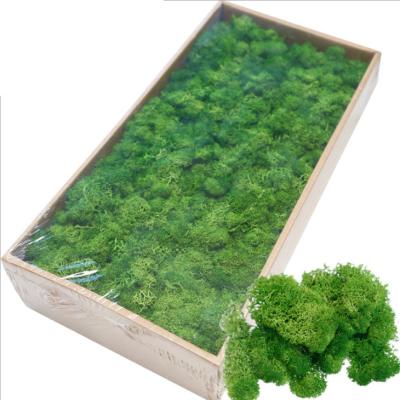 China High quality simulation of moss green plant wall water grass background wall decoration beautiful colorful wholesale real for sale