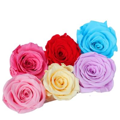 China Beautiful high-end immortal flower material gift box colorful pink flower dry immortal rose artificial immortal flower head rose for sale