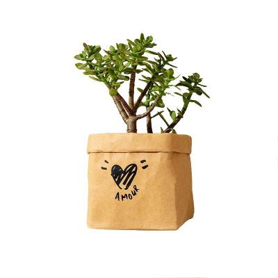 China Hot Materials Aier Shipping Custom Factory Recycled Packaging Paper Bags for sale