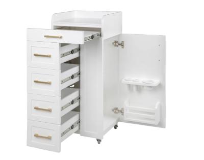 China Modern Wholesale Salon Furniture White Barber Furniture Hair Salon Trolley For Sale for sale