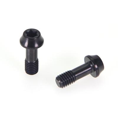 China Black PVD Decorative Screws Non Standard Head Stainless Steel Screws Treated Torx Slot for sale