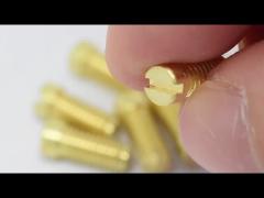 Golden Decorative Screws Carbon Steel Small Self Tapping Screws Disc Head For Furniture Industry
