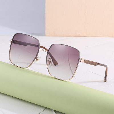 China Fashion Sunglasses Nylon Sunglasses Ladies Shape Big Frame Sharp Red Sunglasses for sale