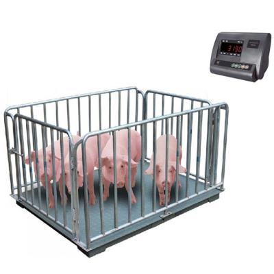 China High Accuracy And Stability 500KG 1000KG Livestock Scale SCS Sheep Dog Goat Dog Livestock Scale for sale