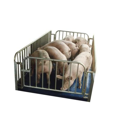 China Stainless Steel Cheap Used Steel+Alloy Digital Livestock Livestock Scales 500Kg for sale