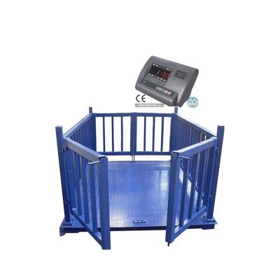 China RS232 Interface Stainless Steel Animal Steel+Alloy Scale For Cattle for sale