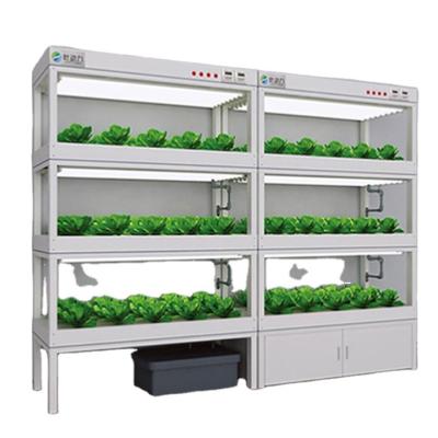 China 2020 Vertical Movable Multifunctional Growing Rack System Horticulture Vertical With Adjustable Layers Hydroponic Nft Channel for sale