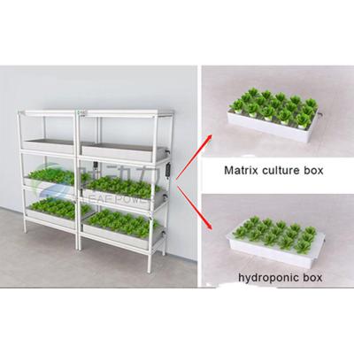 China Multifunctional Indoor Oxygen-Rich Water Technology Plant Lettuce Plant NFT Channels Vegetable Hydroponics for sale