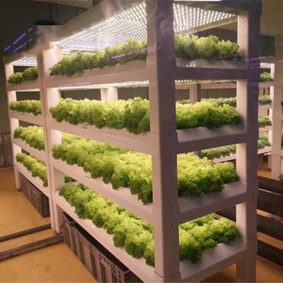 China Multifunctional 2021 vertical flower rack promotion three-dimensional green and small low carbon hydroponics system for sale