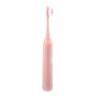 China 2021 Hot Sale Low Price Battery Operated Oral Electric Toothbrushes For Tooth Cleaning for sale