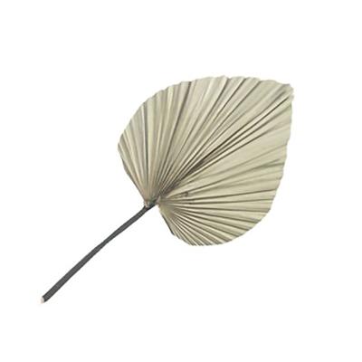 China Wedding Flower Arrangements Dried Natural Mini Palm Leaves and Large Palm Leaves Colorful Leaves for Wedding Decoration for sale