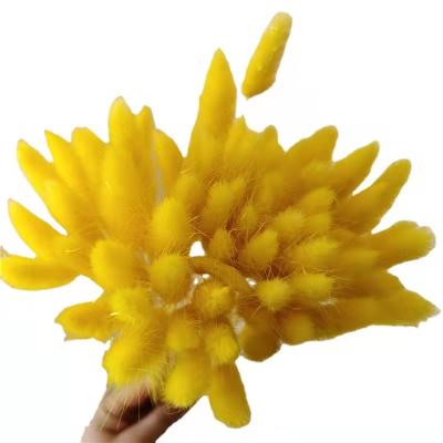 China Natural Dried Flowers Bouquet Dried Bunny Tails Rabbit Tails Dried Flowers Grass For Decoration for sale