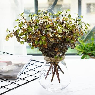 China 5 Artificial Silk Eucalyptus Leaf Mini Money Leaf Begonia Leaf Eucalyptus Stem Forks for Decoration for sale