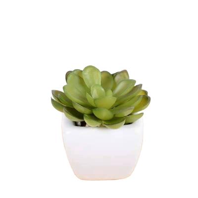 China High Quality Potted Succulent Green Plants Green Vertical Plant Wall Artificial Plants For Daily Life for sale