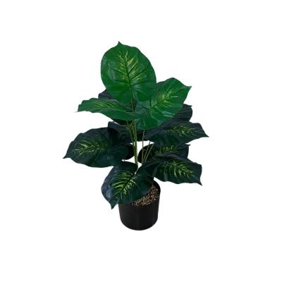 China 2022 Hot Selling Artificial Plant Home Decor Artificial Plants Fresh Wholesale Plants for sale