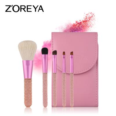 China Angular Blush 5 Pcs High Quality Mini Makeup Set Brush With Bag Beauty Tools for sale