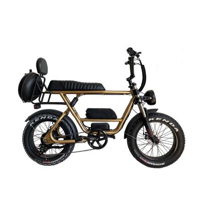 China Fat Tire Bike 250w Mountain Bike Electric Bike Cargo Delivery Electric Fat Bike Family Electric Bicycle for sale