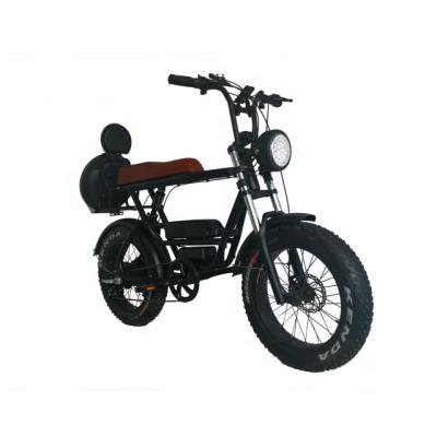 China 2020 New Arrival 750w Aluminum Alloy Fat Tire Electric Bike 750w Electric Bike Fat Tire Electric Bike for sale