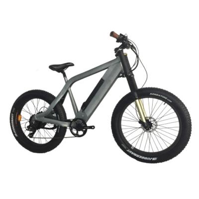 China Hot Selling 250W Road Fat Bike Running Tire Electric Bike Electric Road Bike for sale