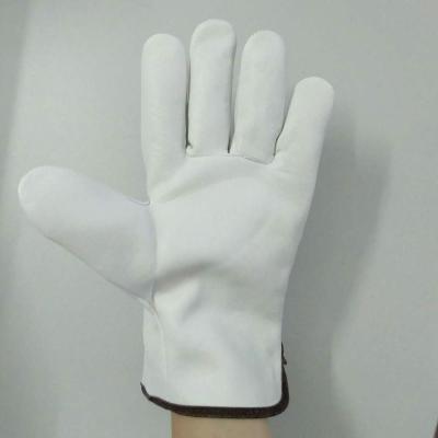 China Driving Fashion Wholesale Soft 10 Inch White Sheep Leather Work Gloves Driver for sale