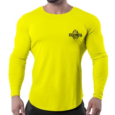 China Wholesale Anti-Wrinkle Mens Solid Color Sports T-shirt Quick Dry Stretch Long Sleeves Cotton Training T-shirt for sale