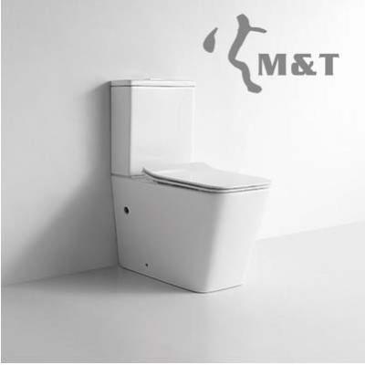 China Watermark Two-Piece Water Closet Toilet - Custom Made Double-Flow Watermark Washdown Approved Saving for sale