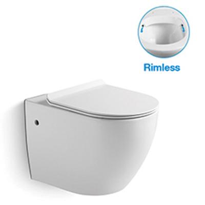 China Concealed Ceramic Cistern Wall Hung Toilet Popular Italy for sale