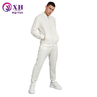 China Men's Clothing Jacket And Pants Plain Thermal Two Piece Oversized Street Wear Plus Size Men's Velor Tracksuit for sale