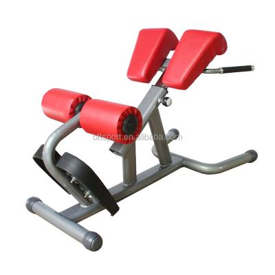 China Safe Weight Bench Gym Workout Machine Hyper Hyperextension Bench for sale