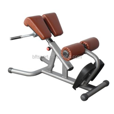 China Fitness Center Hyperextension Fitness Bench Roman Chair /gym Workout Bench for sale