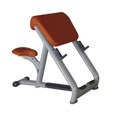 China 150kg Arm Loop Bench For Sale Scott's Bench / Gym Equipment for sale