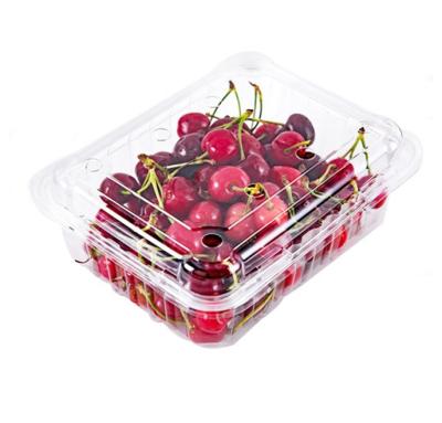 China PET Plastic Container Fruit Vegetables Biodegradable Clear Clamshell Blister Tray for sale